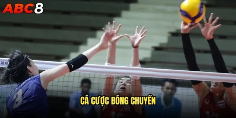 Cá cược bóng chuyền abc8 có khác gì so với bóng đá? 7 cá cược bóng chuyền