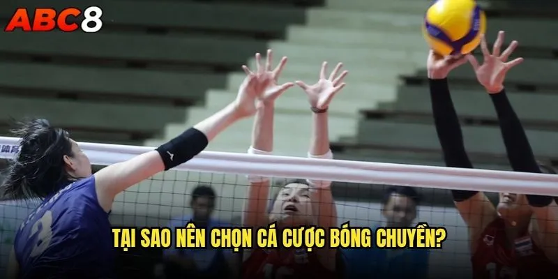 Cá cược bóng chuyền abc8 có khác gì so với bóng đá? 1 Tại sao nên chọn cá cược bóng chuyền?